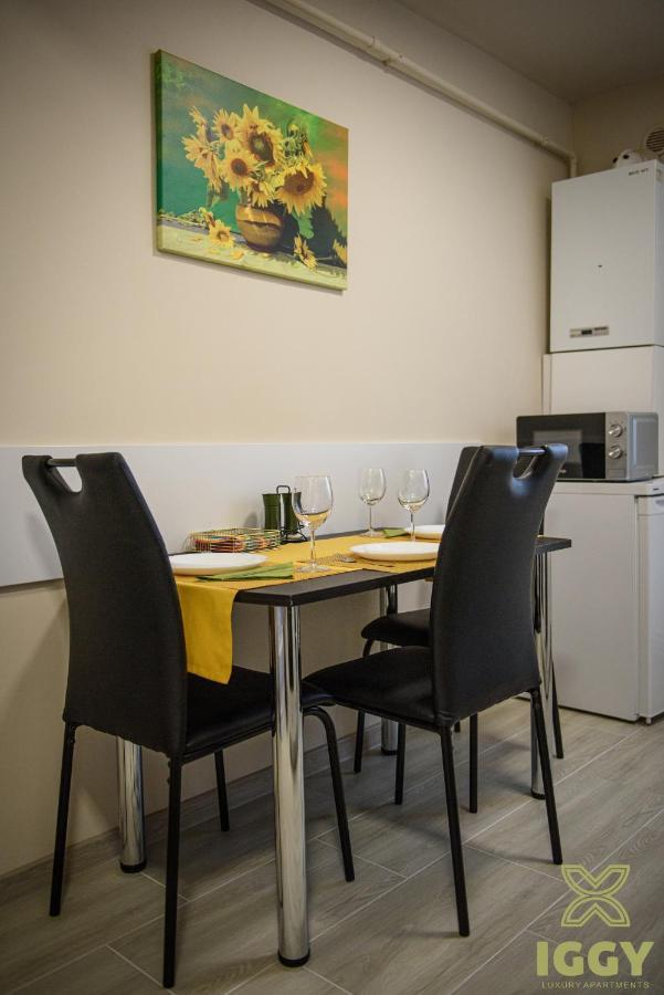 Iggy Luxury Apartment Hunedoara Luaran gambar