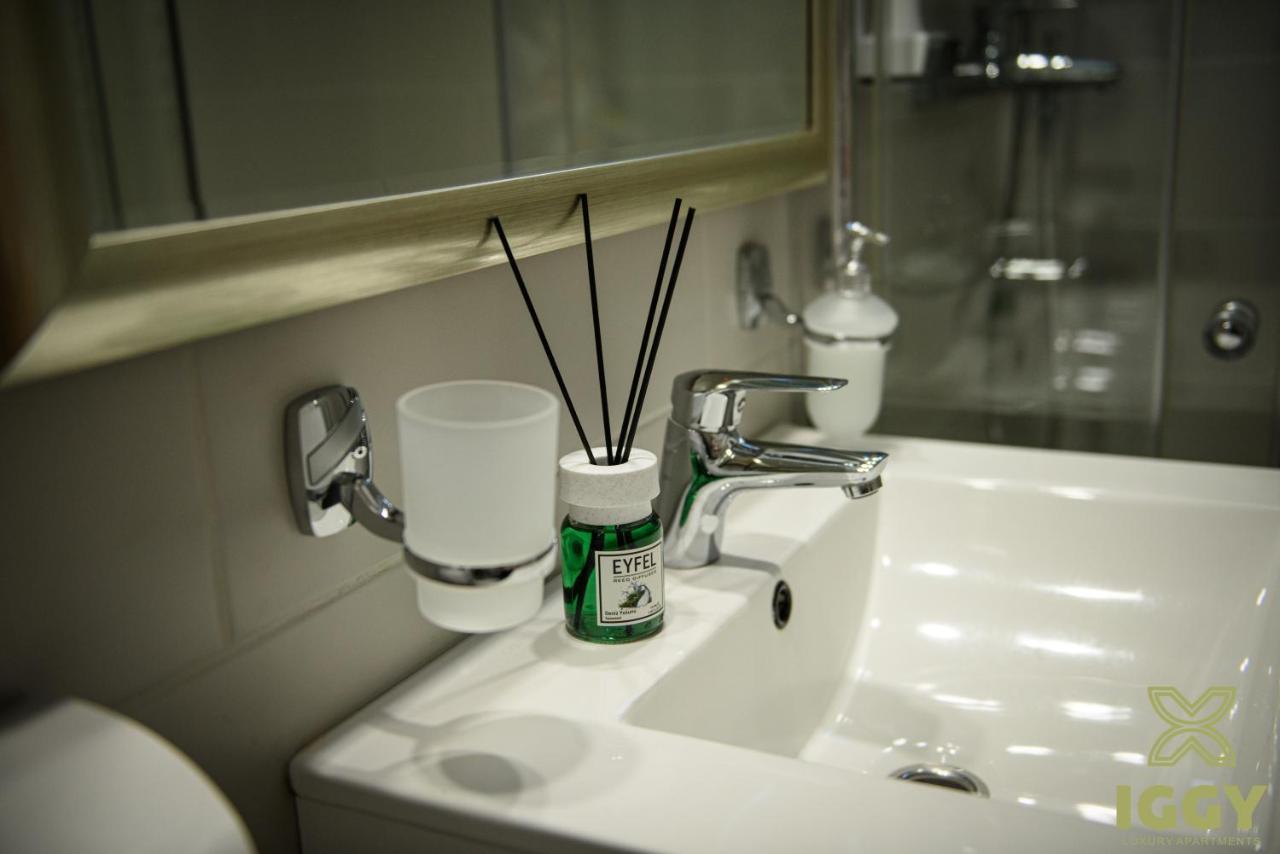 Iggy Luxury Apartment Hunedoara Luaran gambar