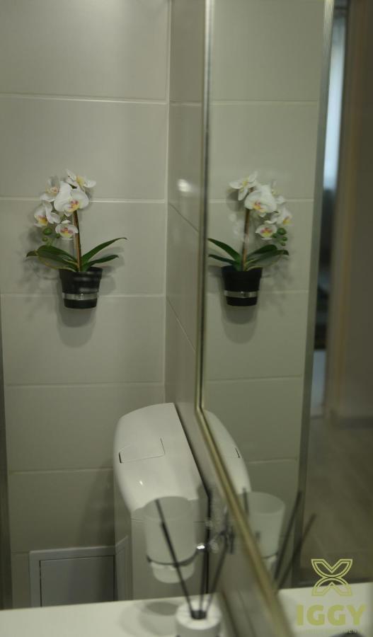 Iggy Luxury Apartment Hunedoara Luaran gambar