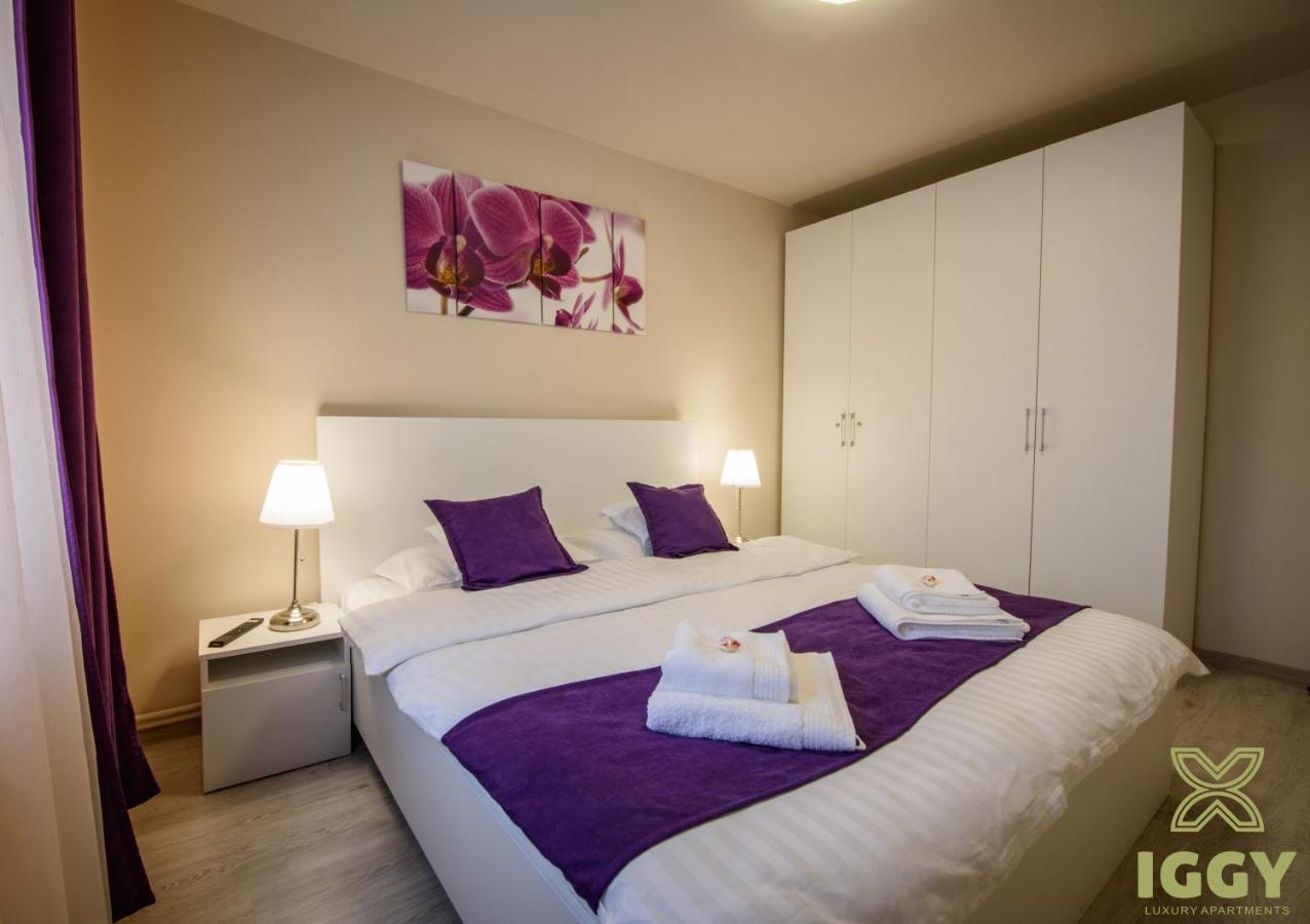 Iggy Luxury Apartment Hunedoara Luaran gambar