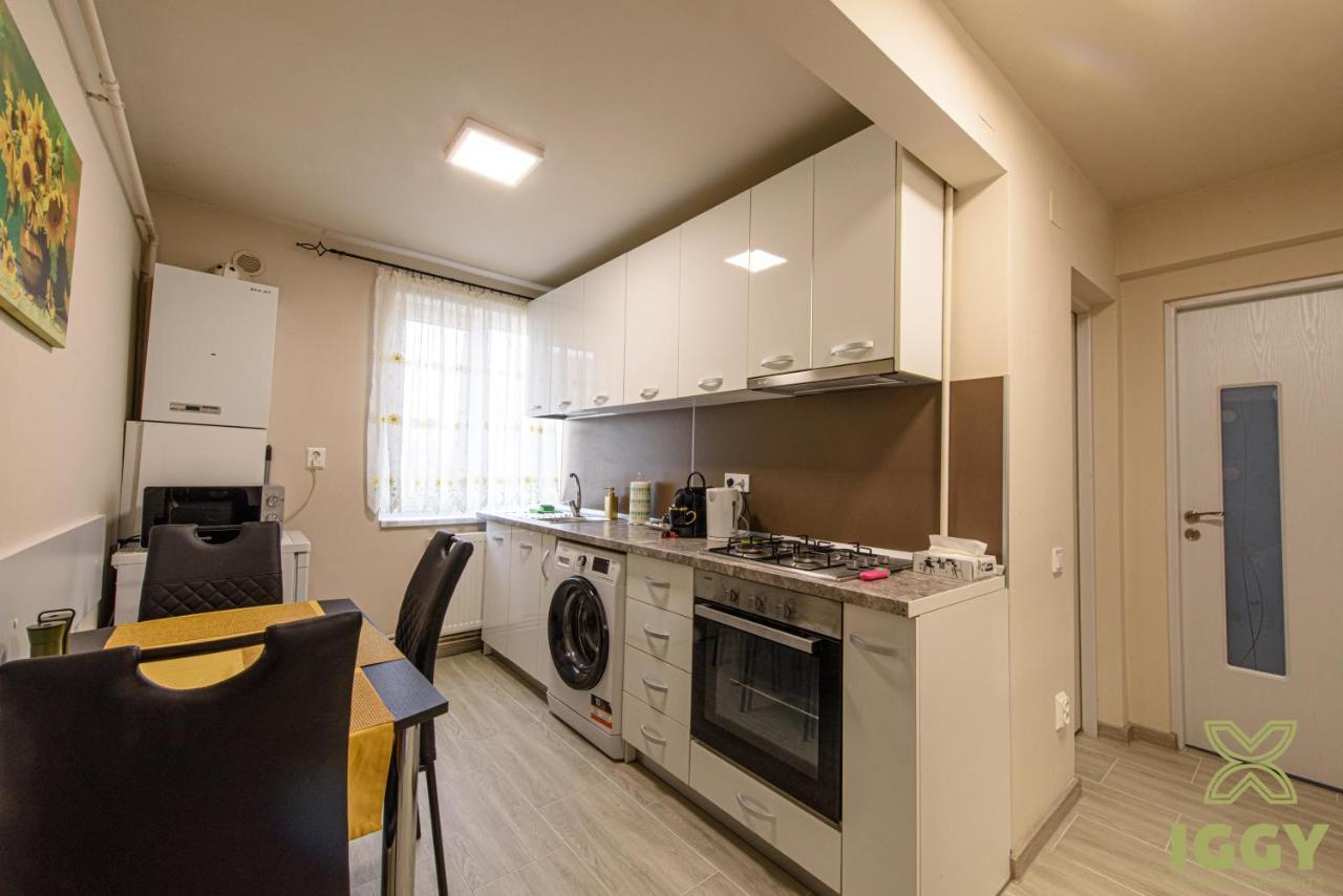 Iggy Luxury Apartment Hunedoara Luaran gambar