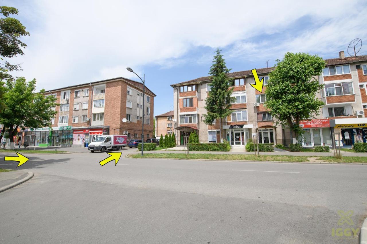 Iggy Luxury Apartment Hunedoara Luaran gambar